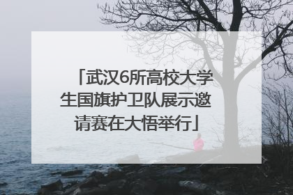 武汉6所高校大学生国旗护卫队展示邀请赛在大悟举行